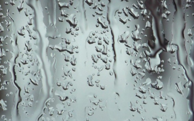 5 signes que votre thermos est défectueux